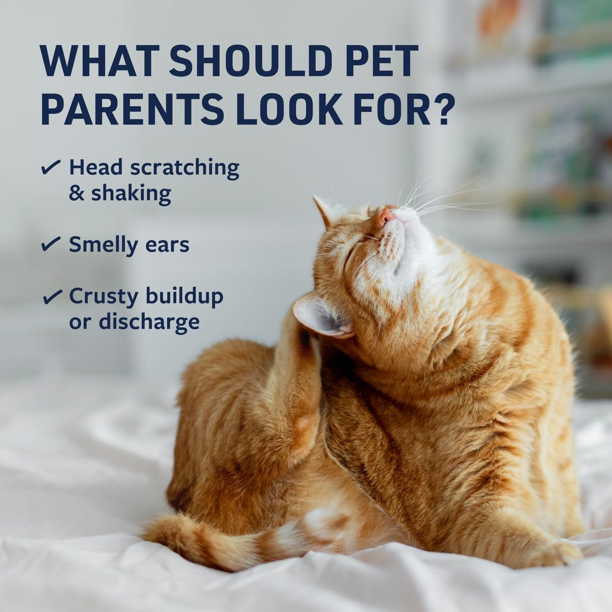 Clinical Care Ear Therapy Wipes, 100Ct – Cat and Dog Ear Cleaner – Help Relieve Itchy Ears Quickly & Effectively Remove Dirt, Debris, and Foul Odor