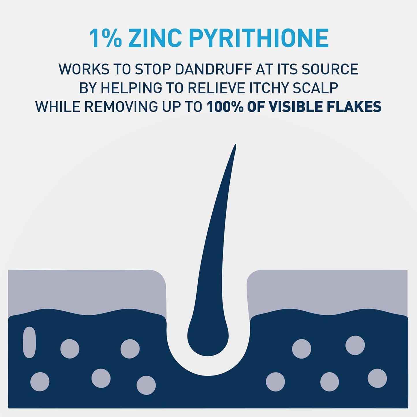 Hydrating anti Dandruff Shampoo, 1% Pyrithione Zinc Dandruff Treatment with Ceramides, Niacinamide & Hyaluronic Acid, Helps Eliminate Flakes & Provides Itchy Scalp Relief, Sulfate Free, 12 Oz