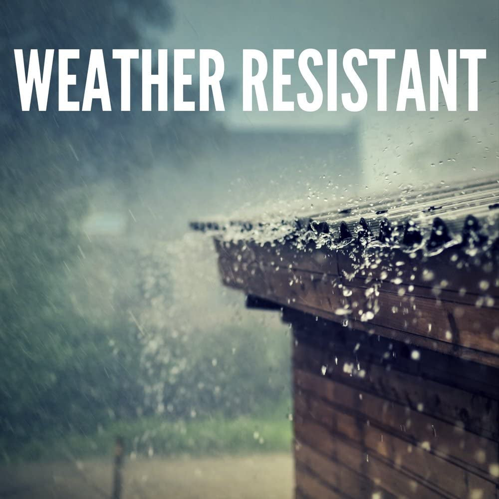 Preston Outdoor Light Fixture, 8 Inch, Exterior Wall Mount Lantern Sconce, Clear Glass Porch Lights for Front Door, Patio, and House Garage, Black, 1161-BK