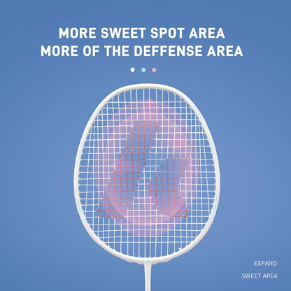 Badminton Racket Professional Graphite Shaft Badminton Set 2 Super Lightweight Shuttlecock Racquet for Training, Sports and Entertainment