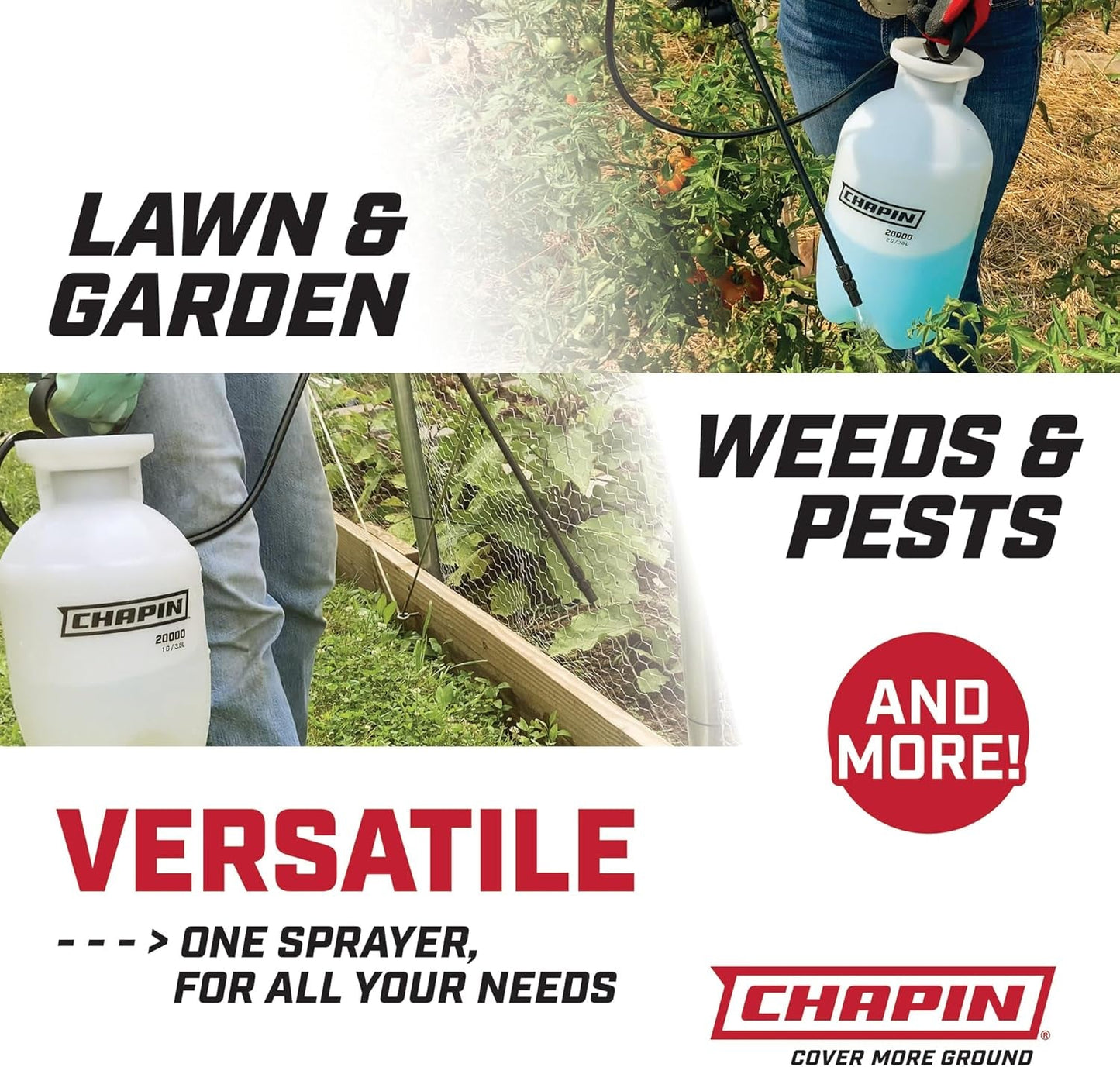 Chapin 20000 Made in USA 1 -Gallon Lawn and Garden Pump Pressured Sprayer, for Spraying Plants, Garden Watering, Weeds and Pests, Polypropylene, Translucent White