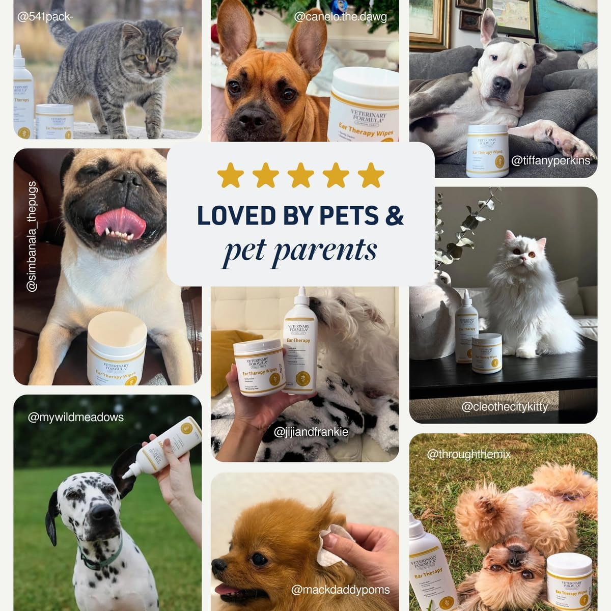 Clinical Care Ear Therapy Wipes, 100Ct – Cat and Dog Ear Cleaner – Help Relieve Itchy Ears Quickly & Effectively Remove Dirt, Debris, and Foul Odor