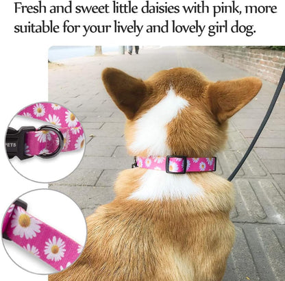 Adjustable Soft Dog Collar: Print Flower Pink Multicolor Cute Patterns for XS Small Medium Large Pet Girl Boy Puppy Walking Running Training (S, Small Daisies)
