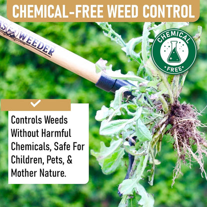 - the Original Stand up Weed Puller Tool with Long Handle - Made with Real Bamboo & 4-Claw Steel Head Design - Easily Remove Weeds without Bending, Pulling, or Kneeling.