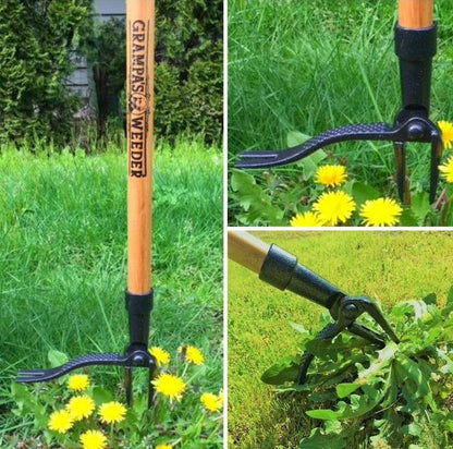 - the Original Stand up Weed Puller Tool with Long Handle - Made with Real Bamboo & 4-Claw Steel Head Design - Easily Remove Weeds without Bending, Pulling, or Kneeling.