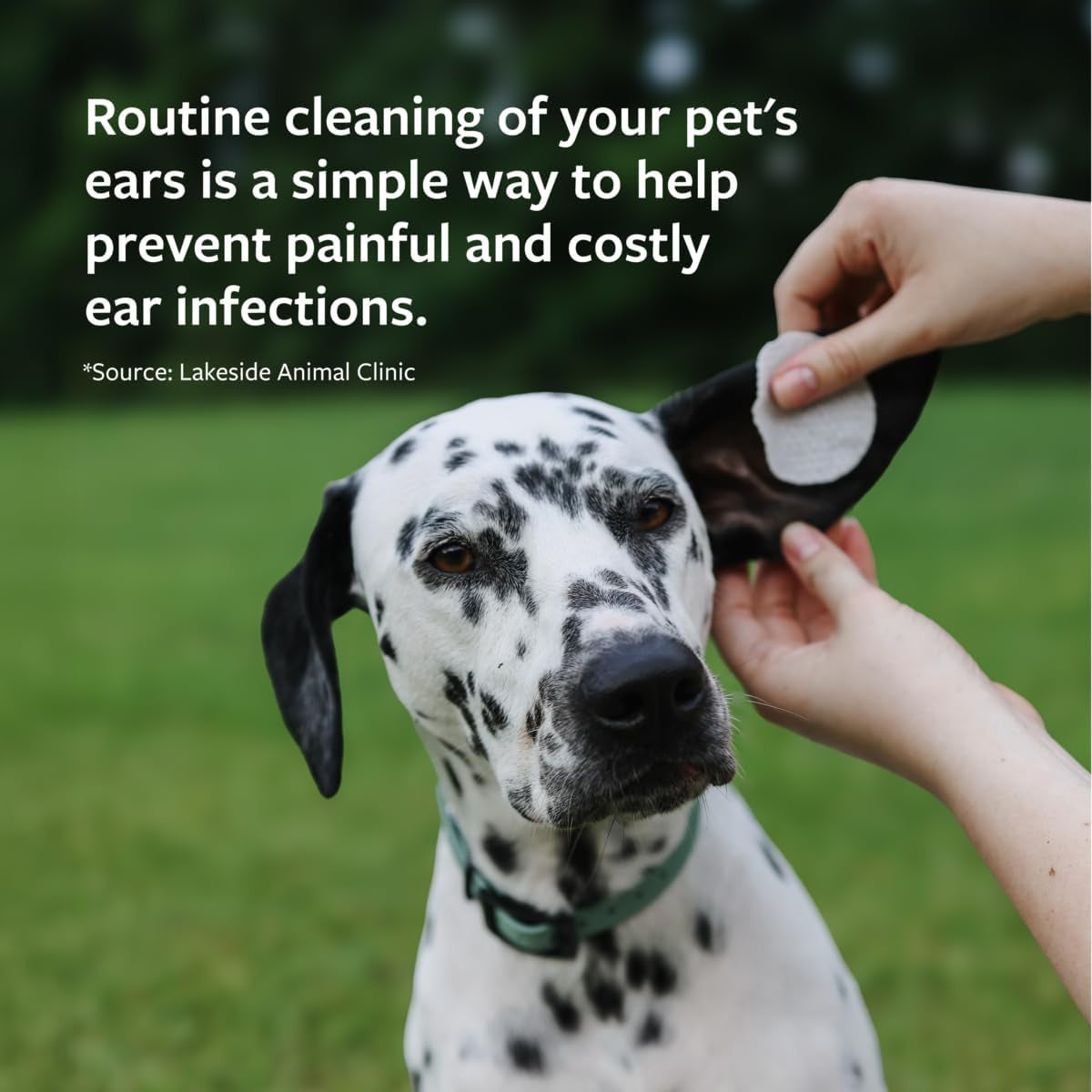 Clinical Care Ear Therapy Wipes, 100Ct – Cat and Dog Ear Cleaner – Help Relieve Itchy Ears Quickly & Effectively Remove Dirt, Debris, and Foul Odor