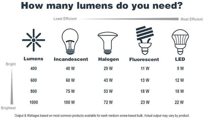 Preston Outdoor Light Fixture, 8 Inch, Exterior Wall Mount Lantern Sconce, Clear Glass Porch Lights for Front Door, Patio, and House Garage, Black, 1161-BK