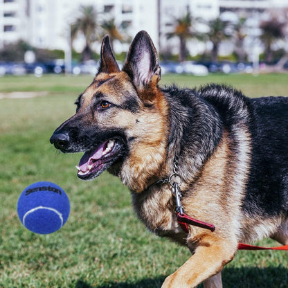 Tennis Balls 3 Pack for Training Tournament and Entertainment