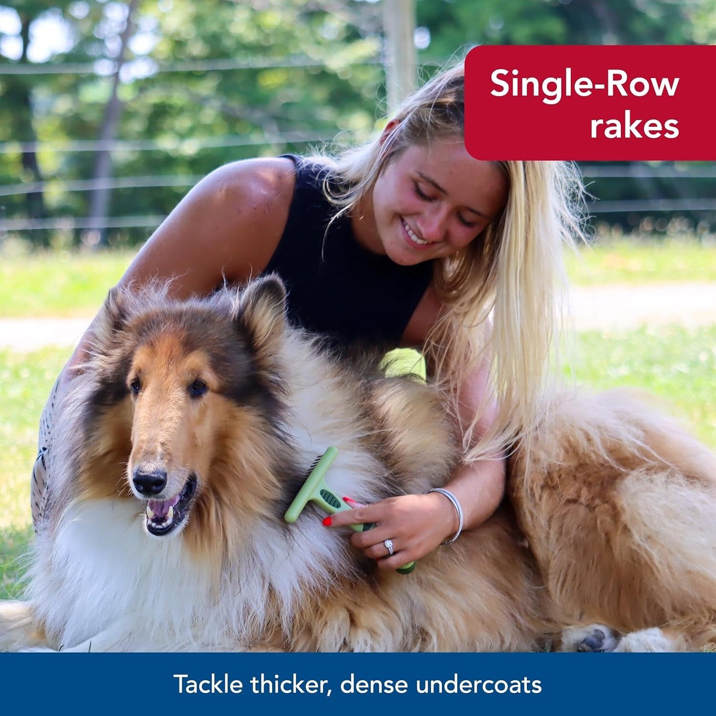 Pet Safari Single Row Undercoat Rake - Gentle Dematting and Deshedding Tool for Dogs, Pet Grooming Comb